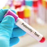 PaternityTest2 PaternityTest2